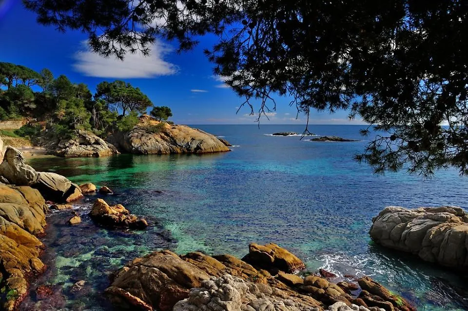 Sun D'Aro Daire Platja d'Aro